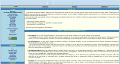 Desktop Screenshot of netintellgames.com